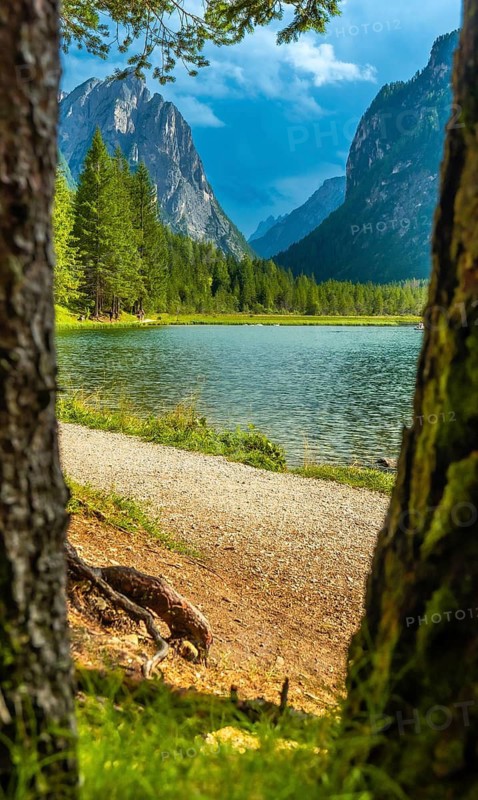 Breathtaking view of lake dobbiaco framed between two trees, showcasing the stunning landscape of the dolomites in summer