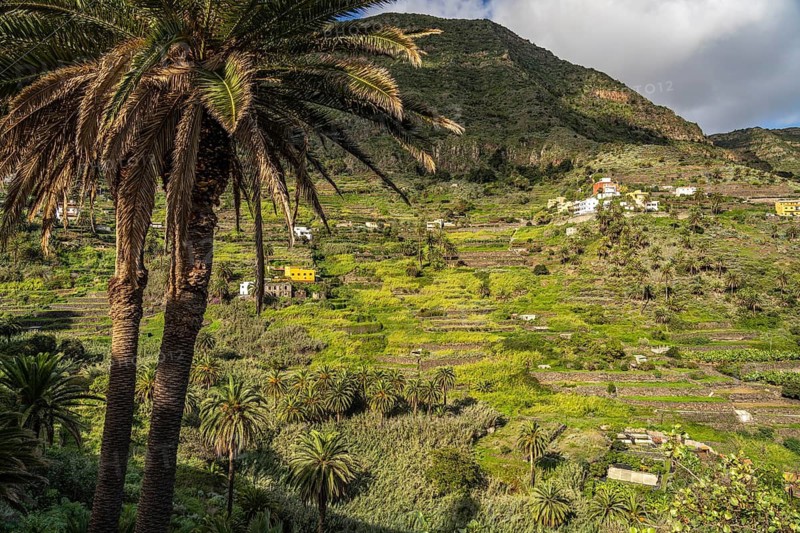 Landscape in the valley of Hermigua, La Gomera, Canary Islands, Spain