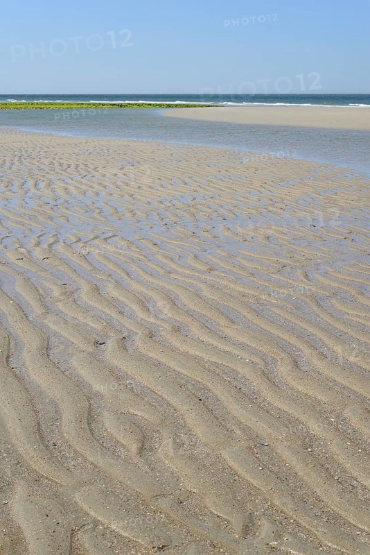 Beach at low tide with wave-like structure, current ripples in wet sand, blue sky, North Sea, Norderney, East Frisian Islands, Lower Saxony, Germany
