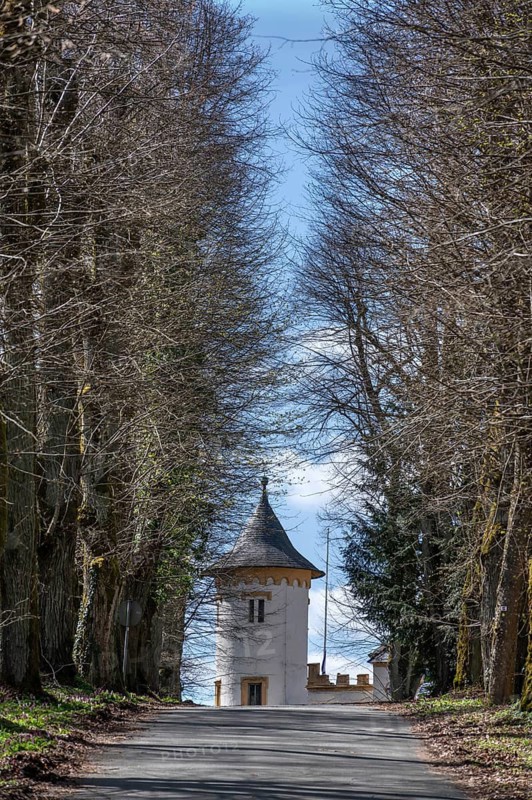Linden avenues (Tilia) to Greifesntein Castle, Heiligenstadt, Upper Franconia, Bavaria, Germany