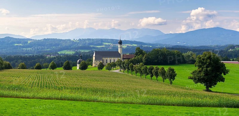 Pilgrimage church of St Marinus and Anian in Wilparting, cornfield, avenue, panorama, municipality of Irschenberg, Oberland, Upper Bavaria, Bavaria, Germany
