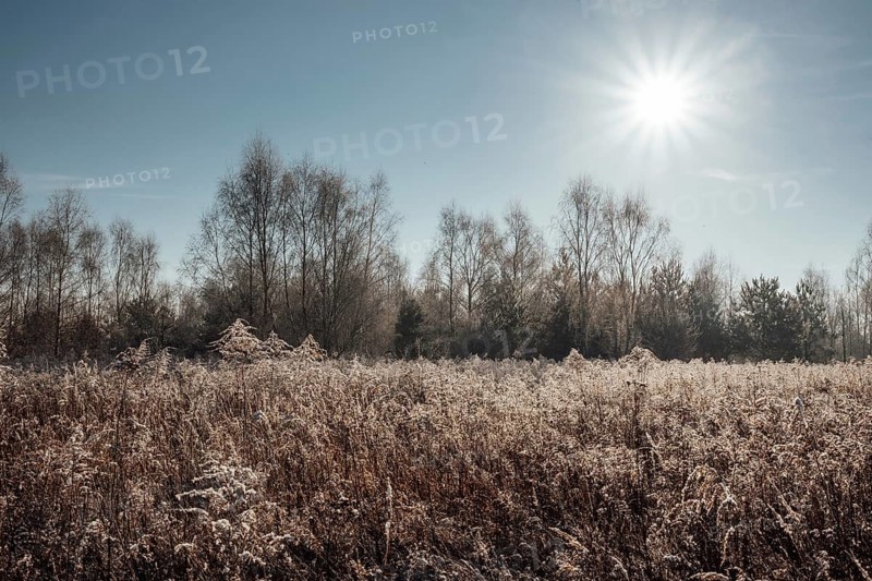 Countryside scenery during sunny morning