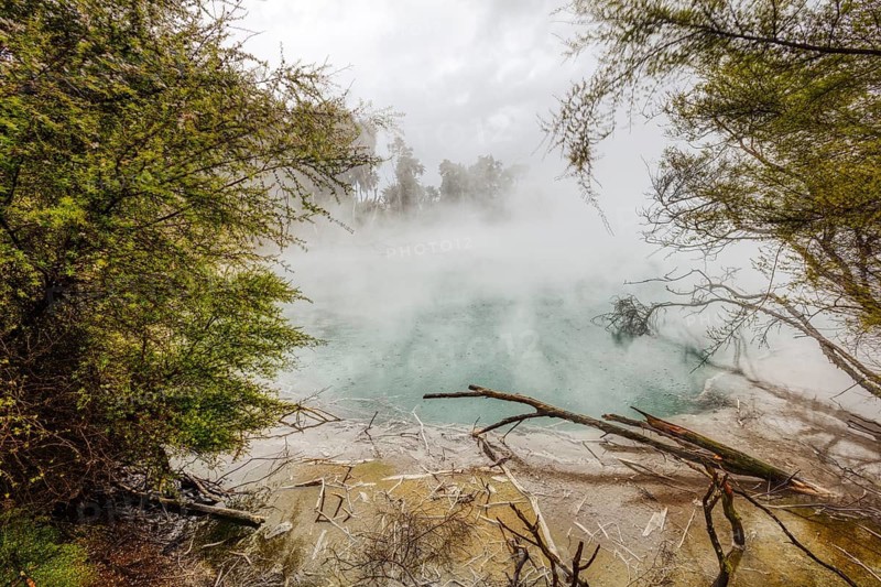 Geothermal, Park, Rotorua, New Zealand