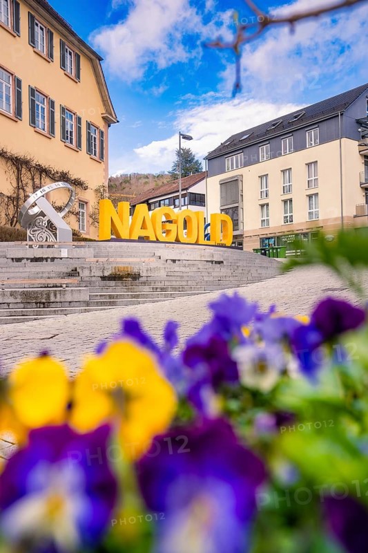A Nagold lettering against a clear blue sky and surrounded by bright spring flowers, Nagold, Calw district, Germany