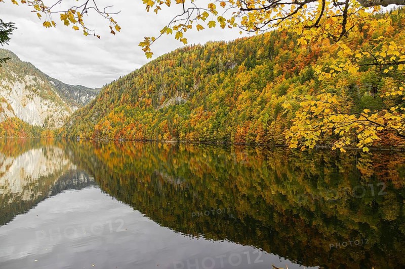 Lake Toplitz, forest in full autumn colors, Austria