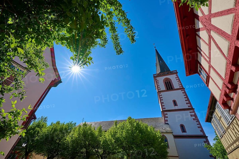View of a church tower with half-timbered houses and sun through trees, St Michael parish church, Lohr am Main, Schneewittchenstadt, Main-Spessart district, Mainfranken, Lower Franconia, Bavaria, Germany