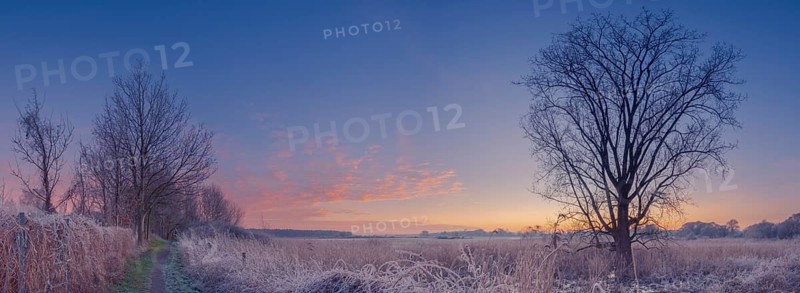 Walk along the river Leine on a cold winter day, winter, snow, ice, frost, cold, season, cosy, panorama, landscape photo, nature photo, flora, fauna, landscape format, willow, grasses, flat land, sky, clouds, sunset, backlight, hiking trail, Neustadt am Rübenberge, Hanover region, Lower Saxony, Germany