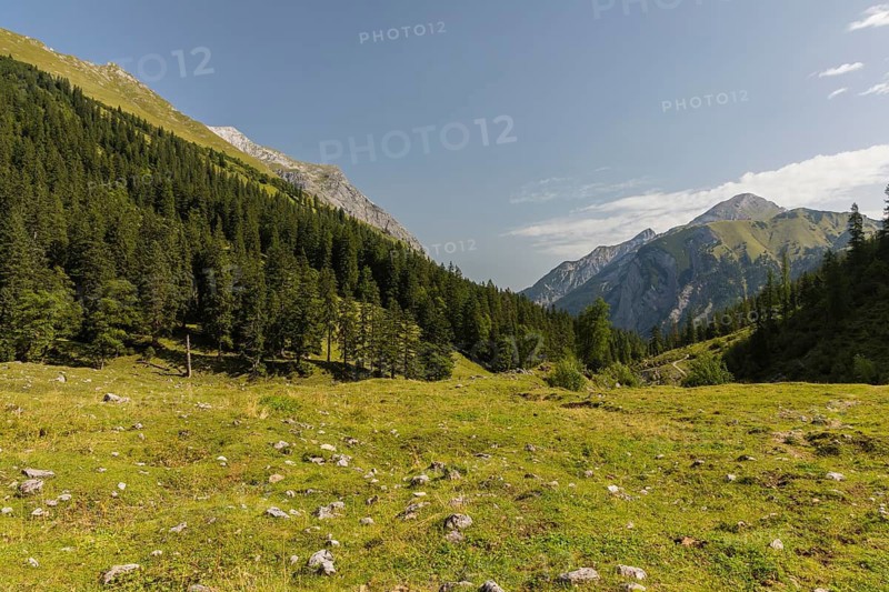 Nature conservancy area Grosser Ahornboden. Sycamore maple trees, Acer pseudoplatanus, in autumn. Karwendel mountains in the back with blue sky