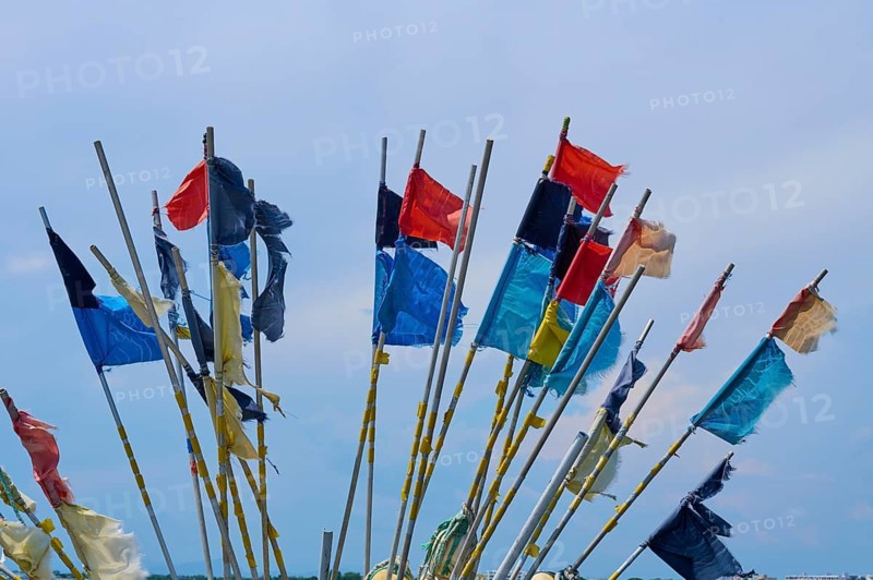 Colourful flags waving on metal poles in front of a blue sky outdoors, summer, Le Grau-du-Roi, Gard, Mediterranean, France