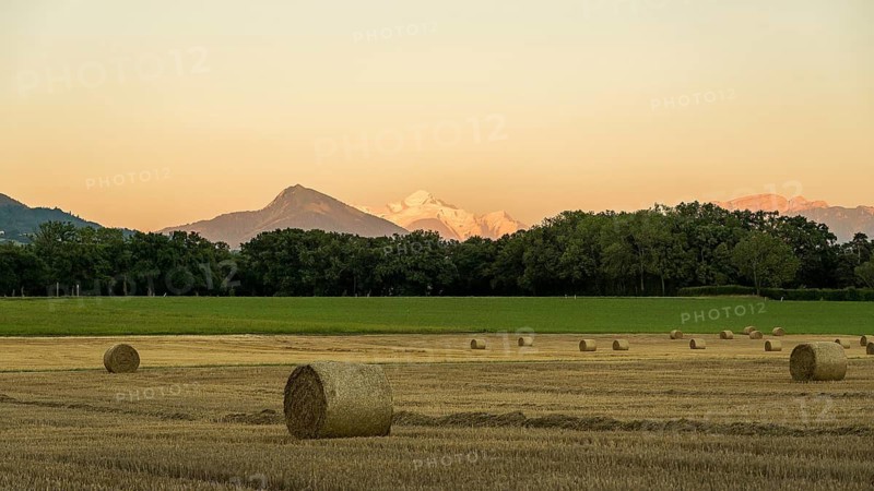A tranquil rural scene with round hay bales scattered across a harvested field in Geneva, Swiss. Mont Blanc mountain in the background sit under a soft, pastel sky at sunset