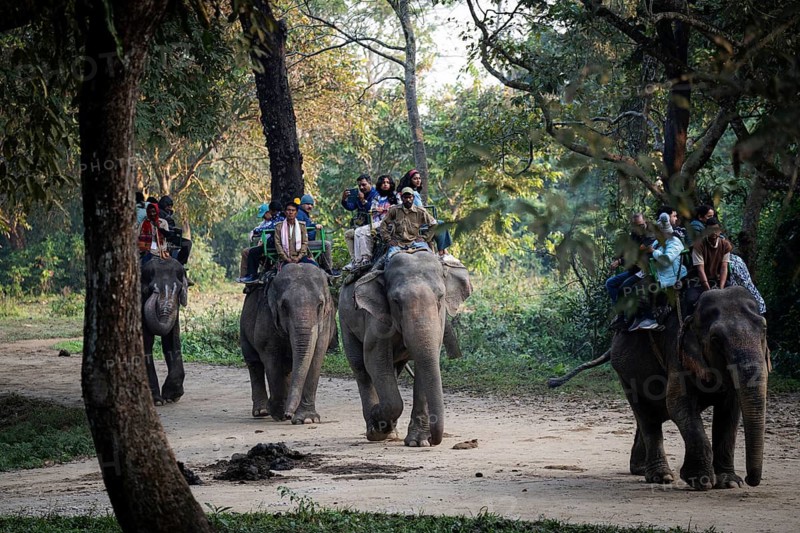 Tourists ride elephants during a safari at Kaziranga National Park on December 5, 2024 in Kaziranga, India. Kaziranga National Park, in Assam is a UNESCO World Heritage Site renowned for its biodiversity