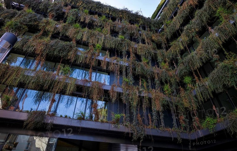 Climate-neutral façade greening on the new building, office building of CMS Hasche Sigle, Calwer Straße, Stuttgart, Baden-Württemberg, Germany