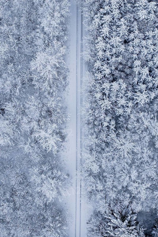 Aerial view of a snowy road through the forest, Gechingen, Calw district, Germany