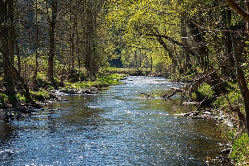 Germany, Greiz, Göltzschtal, Thuringia, Thuringia, rivers, river, spring, Köhlersteig, landscape, river, spring, Vogtland