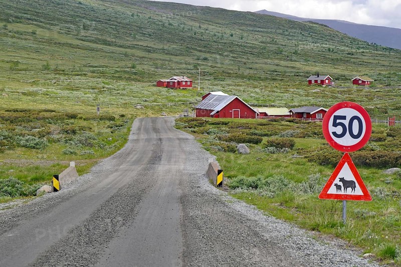 Graveled road with road sign leads through a landscape with red houses, Fjell, Jotunheimvegen, Mjolkevegen, Valdesflye, Norway