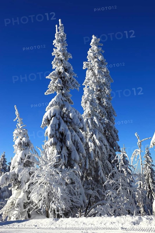 Winter landscape in the Fichtelgebirge, Bayreuth district, Upper Franconia, Bavaria, Germany