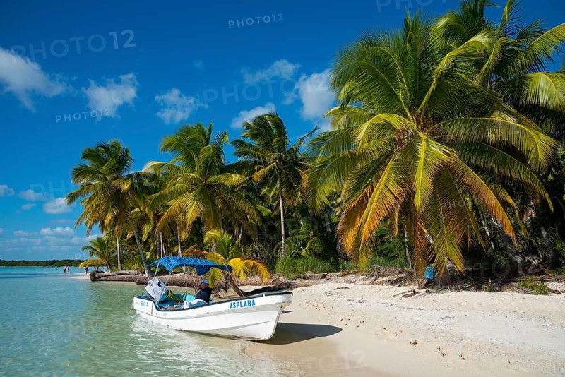 A boat lies on a tropical beach with palm trees and white sand under a blue sky, Boat on a palm beach, Parque Nacional del Este, Dominican Republic, Caribbean, America