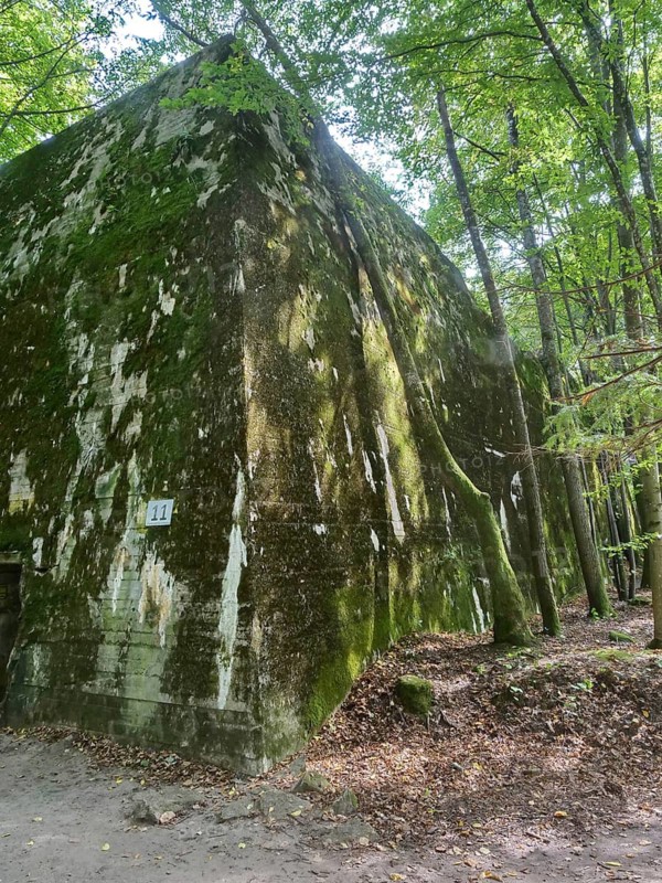 Ruins of the Wolf's Lair (also Wolf's Lair or Görlitz), the military situation centre of the command staff of the German Wehrmacht. The Wolf's Lair is now a museum. Gierloz, Ketrzyn, Warmia-Masuria, Poland
