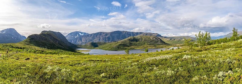 Barren mountain landscape with lake and birch trees, Knutshøe mountain and Gjendehøe, Leirungen nedre lake, Fjell, Øystre Slidre, Jotunheimen National Park, Norway