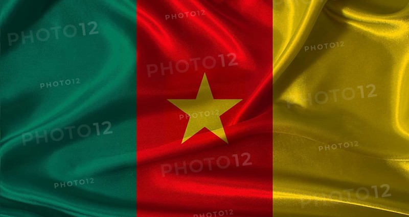 National flag of Cameroon with cloth texture. Cameroon flag with realistic texture background