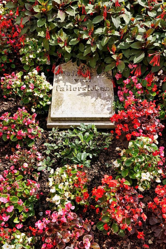 Grave of August Heinrich Hoffmann von Fallersleben, grave slab with inscription, cemetery, former Corvey Abbey and Castle, the Carolingian westwork and the Civitas Corvey, Höxter, Germany