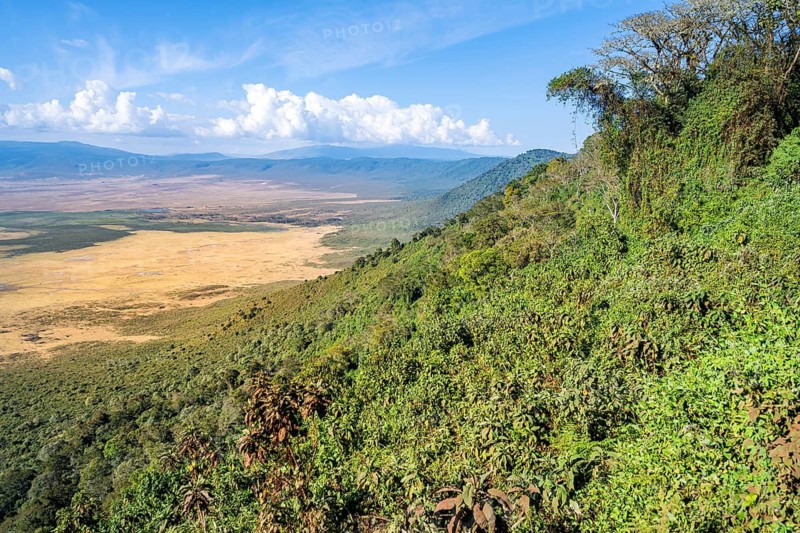 View of Ngorongoro Crater, Crater Viewpoint, Forest and Savanna Landscape, Ngorongoro Conservation Area, Tanzania