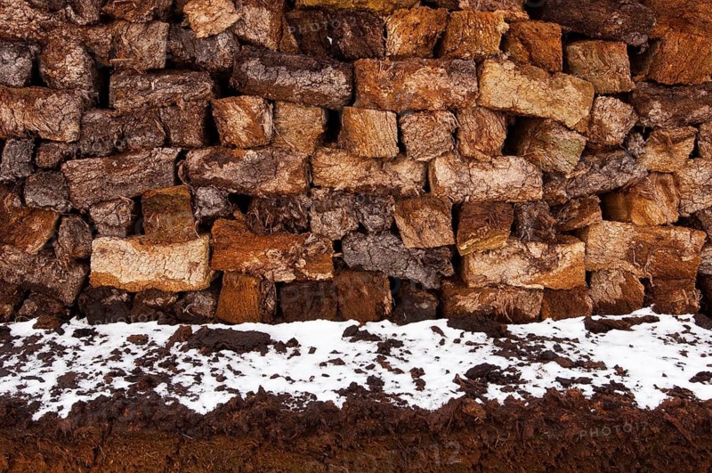 Peat in winter moor, Goldenstedt, Lower Saxony, Germany