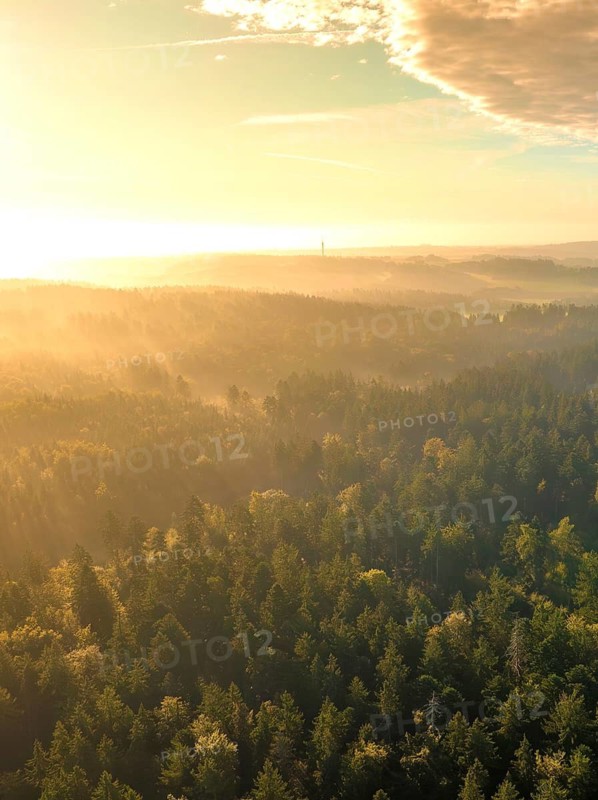 Aerial view forest with fog at sunrise Black Forest, Calw, Germany