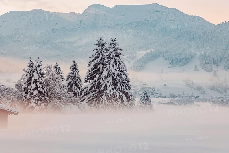 Deep snowy winter morning mood near Halblech in the foothills of the Alps in the Allgäu with the mountains in the background, Bavaria, Germany
