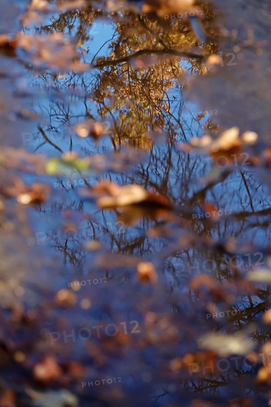 Late autumn, November, Germany