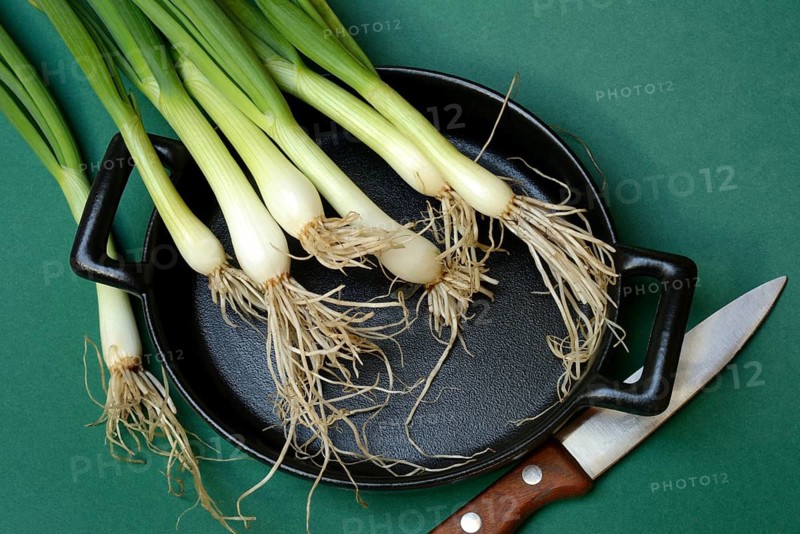 Spring onions on pan, onion