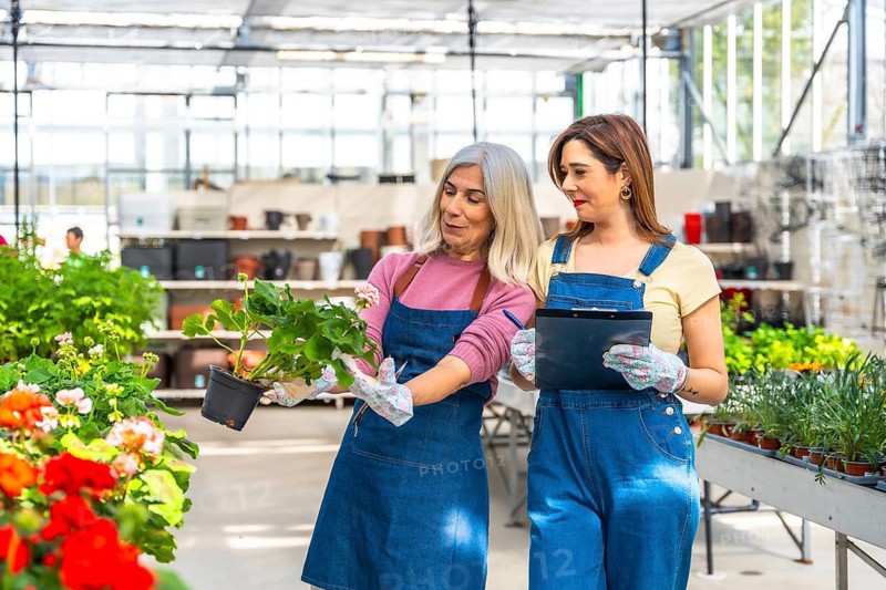 Two cheerful women wearing aprons and gloves are working together in a plant nursery. One woman holding a potted plant and discussing its quality with her colleague who is making notes on a clipboard