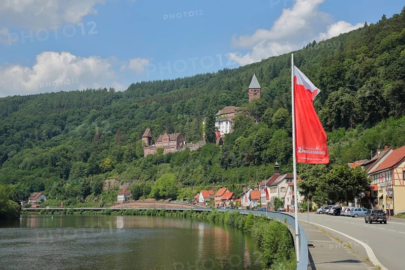 View of castle on the banks of the Neckar with flag, Zwingenberg, Neckar Valley, Baden, Baden-Württemberg, Germany