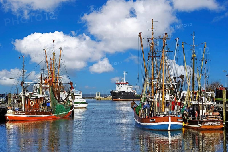 Der Hafen von Neuharlingersiel, East Frisia, fishing boats, crab cutters, Neuharlingersiel, Lower Saxony, Federal Republic of Germany