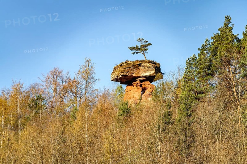 The Teufelstisch mushroom rock in the Palatinate Forest near Hinterweidenthal, Rhineland-Palatinate, Germany