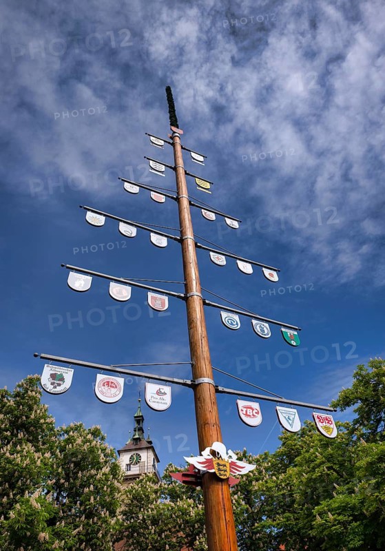 Maypole with coat of arms, church tower, Protestant City Church, Old Town, Bad Cannstatt, Stuttgart, Baden-Württemberg, Germany