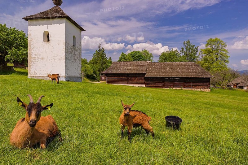 Museum of slovak village in Jahodnícky Hory, east of Martin, Slovakia. The Village Museum is the largest of its kind in Slovakia. On an area of 15.5 hectares there are143 exhibits of Slovak folk architecture from northwest Slovakia