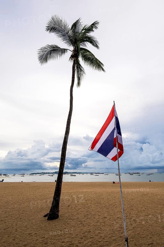 Sandy beach beach, palm tree and Thailand flag, Pattaya, Thailand