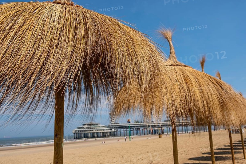 A row of raffia parasols on the beach at Scheveningen in the Netherlands