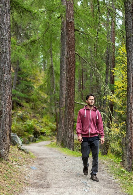 A man strolls along a scenic forest path in autumn, surrounded by tall trees and vibrant foliage in Switzerland, capturing the serene beauty of the season