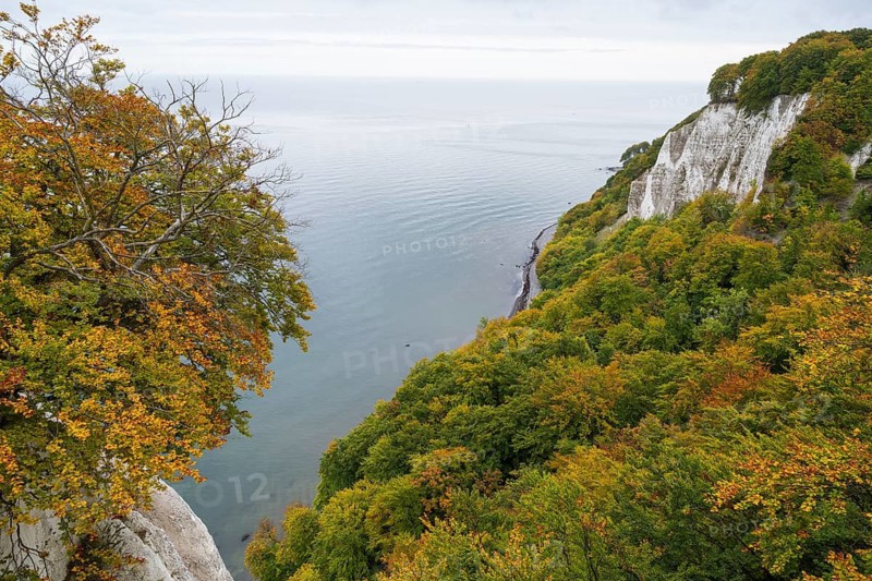 View of chalk cliffs and Baltic Sea, trees with autumn leaves, Jasmund National Park, Sassnitz, Rügen island, Baltic Sea, Mecklenburg-Western Pomerania, Germany