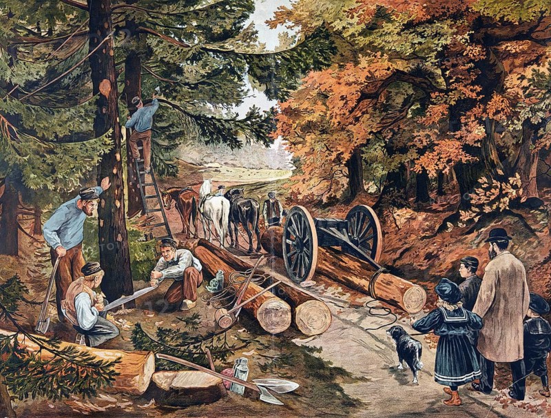 Forest work and timber harvesting in the 19th century, forest workers cutting trees with axes and saws and transporting logs by horse-drawn cart, school painting, illustration, reproduction from a model from the 19th century. School picture, mural, authentic, file restored for optimal use, exact date of original unknown, historical