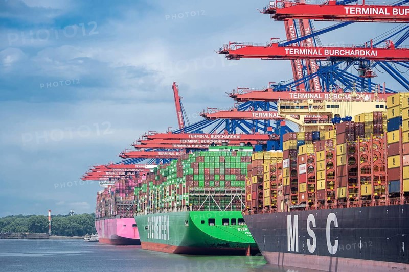 Large container ships (from MSC, Evergreen and ONE) at the berths of the Container Terminal Burchardkai (CTB) in Hamburg-Waltershof under a dense row of container gantry cranes, Hamburg, Germany