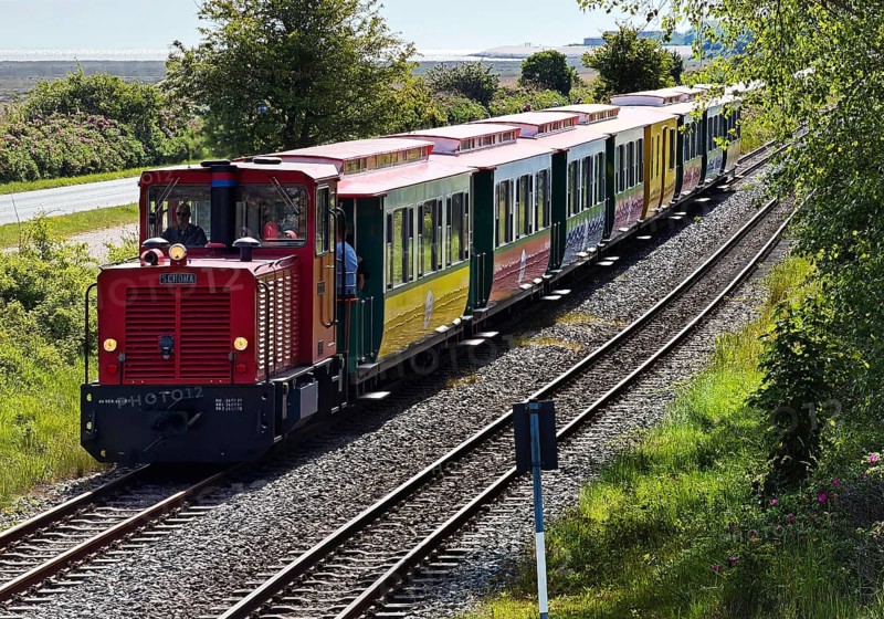 Light railway on the North Sea island of Borzburg, the only double-track narrow-gauge railway still in operation in Lower Saxony, East Frisia, Germany