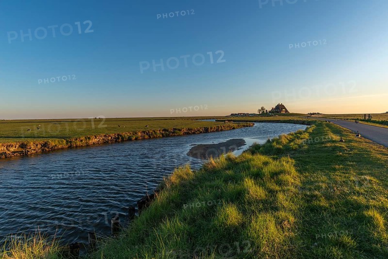 Kirchwarft with pastor and church on Hallig Hooge in the Schleswig-Holstein Wadden Sea National Park, Halligen biosphere, evening mood, tidal creek, salt marshes, North Frisia, Schleswig-Holstein, Germany