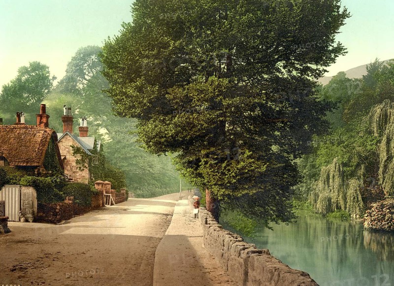 Bonchurch Pond, I., Isle of Wight, England / England, Historical, digitally restored reproduction from a 19th century original, 1880, Record date not stated
