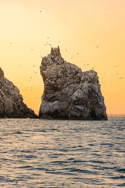 Large rock in calm sea at sunset with flying birds, Howth, Ireland