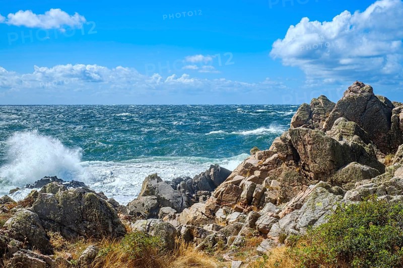 Picturesque coastal scenery with a view of the sea on the Kullen Peninsula (Kullaberg) in Scania, Sweden