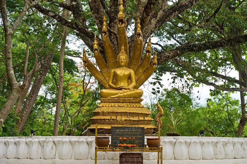 Buddha statue with seven nagas, Naga Buddha statue, frangipani trees (Plumeria rubra), the national flower of Laos, by the stone steps leading up to Mount Phousi, Luang Prabang's local mountain on the Mekong, Luang Prabang, Laos
