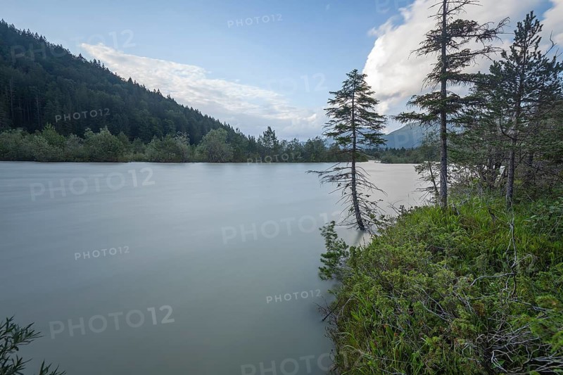 The Isar carries floods between Lake Sylvenstein and Lenggries. Trees and pines sink in the torrential flood water in the Isar Valley. Lenggries, Upper Bavaria, Bavaria, Germany
